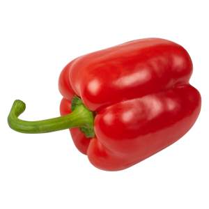 פלפל אדום